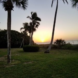 Meet your Posher, Gene